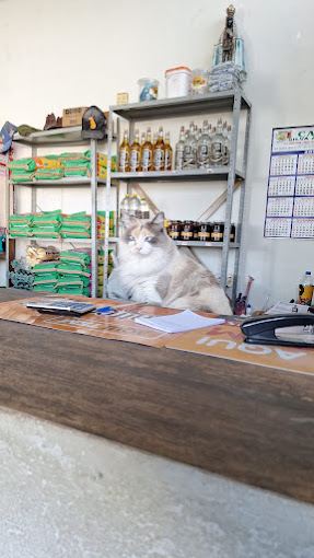 Imagem da loja Cerealista Pansani